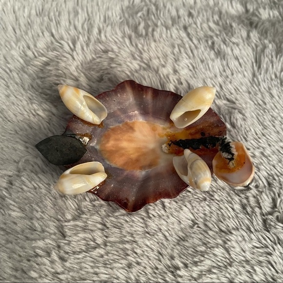 Sea Shell Figurines Set of 3 Mouse, Turtle & Lion - Picture 8 of 16